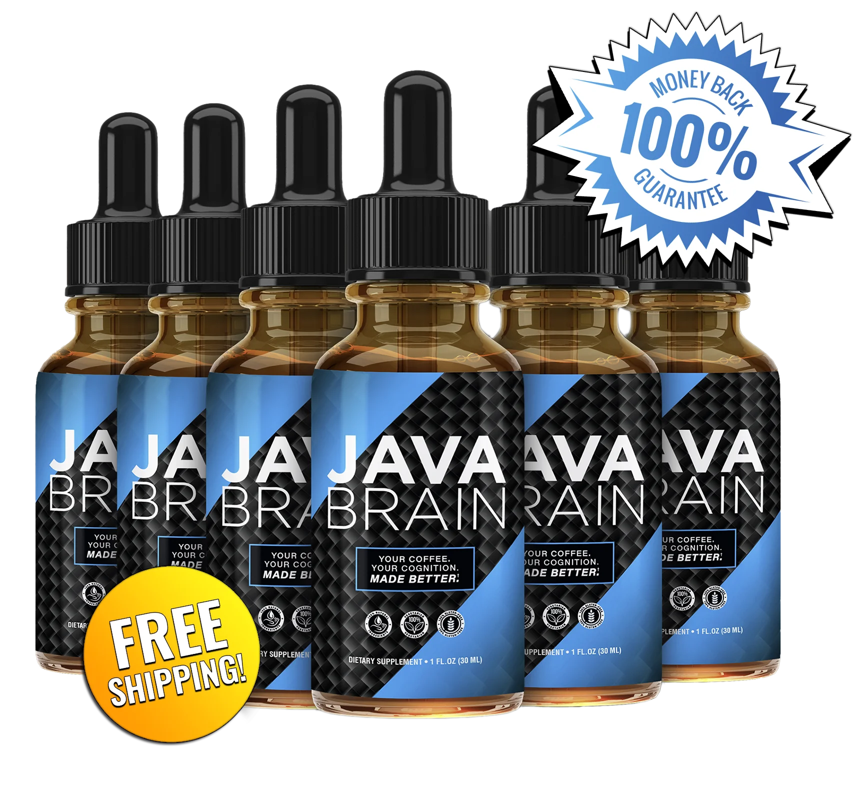 Java Brain